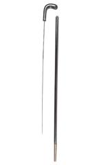 Cane Sword