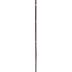 Cane Sword