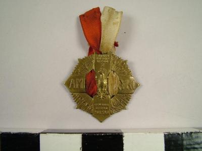 Medal, Cross Of Polish Soldiers From America