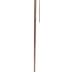 Cane Sword