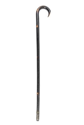Cane Sword