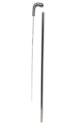 Cane Sword