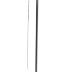Cane Sword