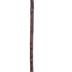 Cane Sword