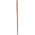 Cane Sword