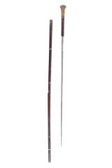 Cane Sword