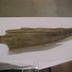 Dugout Canoe And Fragments