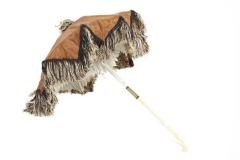 Parasol