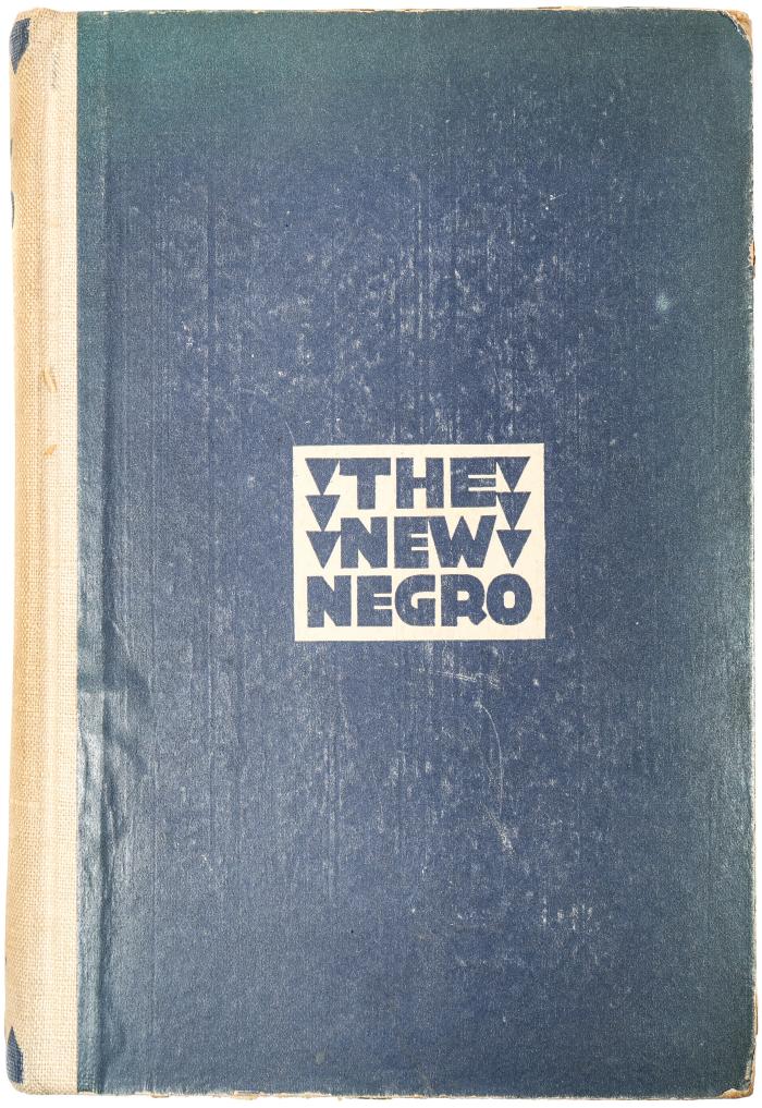 Book, The New Negro: An Interpretation