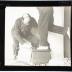 Glass Slides (46), 13 Slides Illustrating The Bertillon Identification Method, 17 Slides Fingerprint Identification, 9 Assorted Police, 6 Possible Gr Fire Dept.