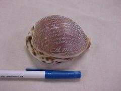Bric-a-brac, Shell, Lord's Prayer