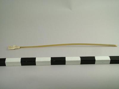 Back Scratcher
