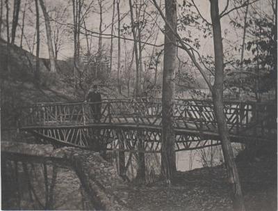 Photograph, John Ball Park Rustic Bridge