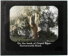 Lantern Slide, Bank of Grand River