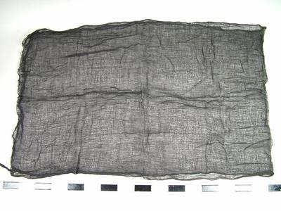Cloth