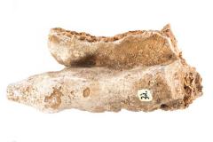 Flowstone