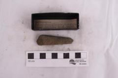 Orthoceras