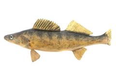 Walleye (Cast)