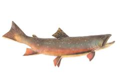 Brook Trout (cast)