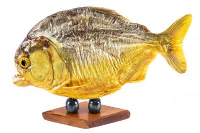 Piraya Piranha (Mount)
