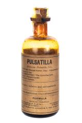 Pharmaceutical, Pulsatilla