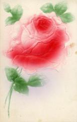 Postcard, Pink Rose On One Side