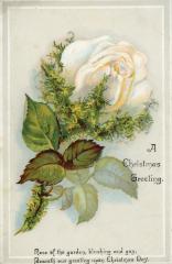 Christmas Card
