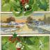 Postcard, Christmas