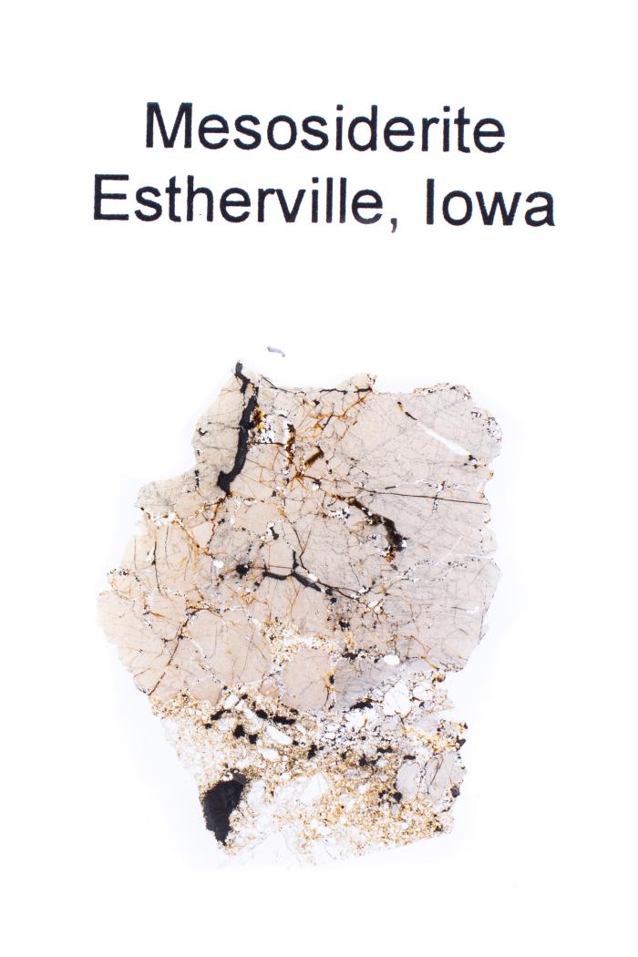 Esterville Meteorite (thin Section) 