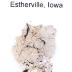 Esterville Meteorite (thin Section) 