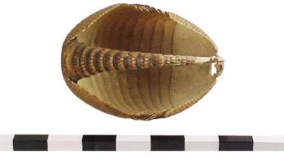 Basket, Armadillo