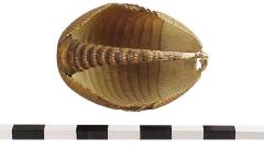 Basket, Armadillo