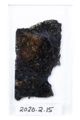 Rose City Meteorite (thin section)   