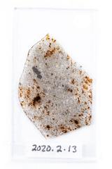 Camel Donga Meteorite (thin section) 