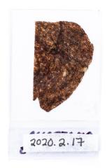 Meteorite (thin section) 
