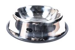 Dog Bowl