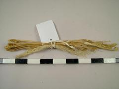 Sinew For Sewing