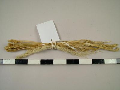 Sinew For Sewing