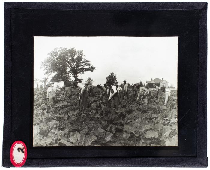 Lantern Slide, Tuskegee Institute