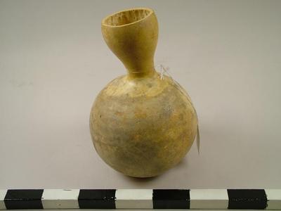 Calabash Water Bottle