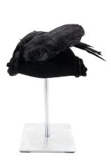 Perch Hat
