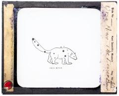 Lantern Slide, Ursa Minor