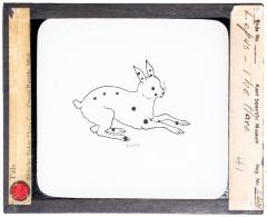Lantern Slide, Lepus