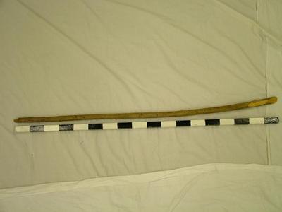 Walking Stick