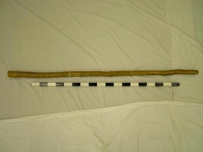 Walking Stick