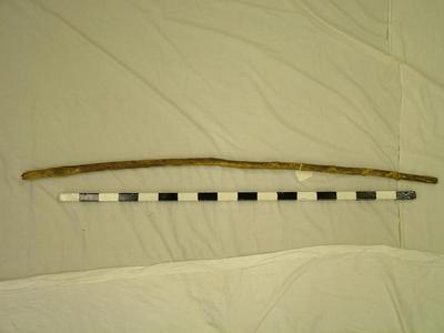 Walking Stick