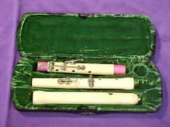 Flute And Case