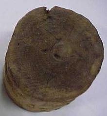 Log End With Log Mark