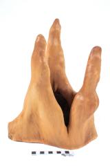 Wooden finger-like projections