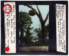 Lantern Slide, Knot over Washington's Grave